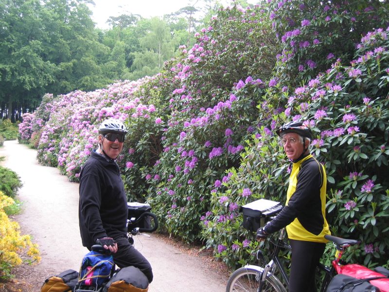 Rolf und Ludwig mit Rododendren Rolf und Ludwig mit Rododendren